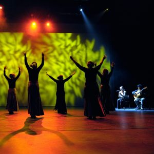 Flamencoles in Dordrecht 2022 | 2023